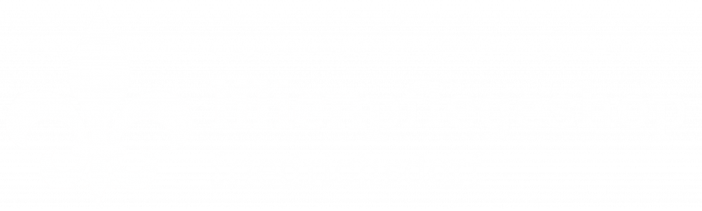 Logo des Lilienpflegeshops: stilisierte Lilie als zentrales Symbol, kombiniert mit Schriftzug – Zeichen für Fürsorge, Vertrauen und professionelle Pflegeberatung